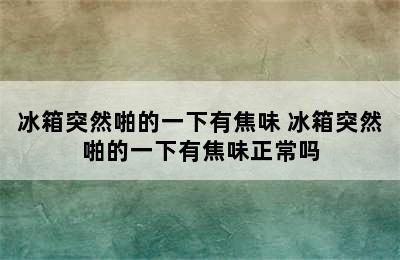 冰箱突然啪的一下有焦味 冰箱突然啪的一下有焦味正常吗